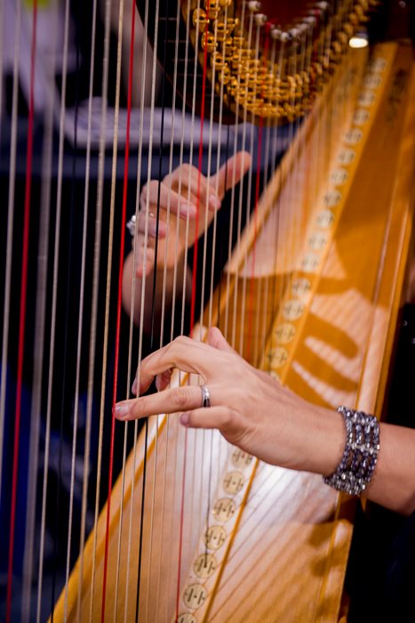 Divine Harp - Alyssa Michalsky